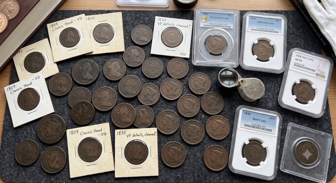 Antique collection of raw, flipped, and professionally graded US copper Half Cents on felt with numismatic loupe