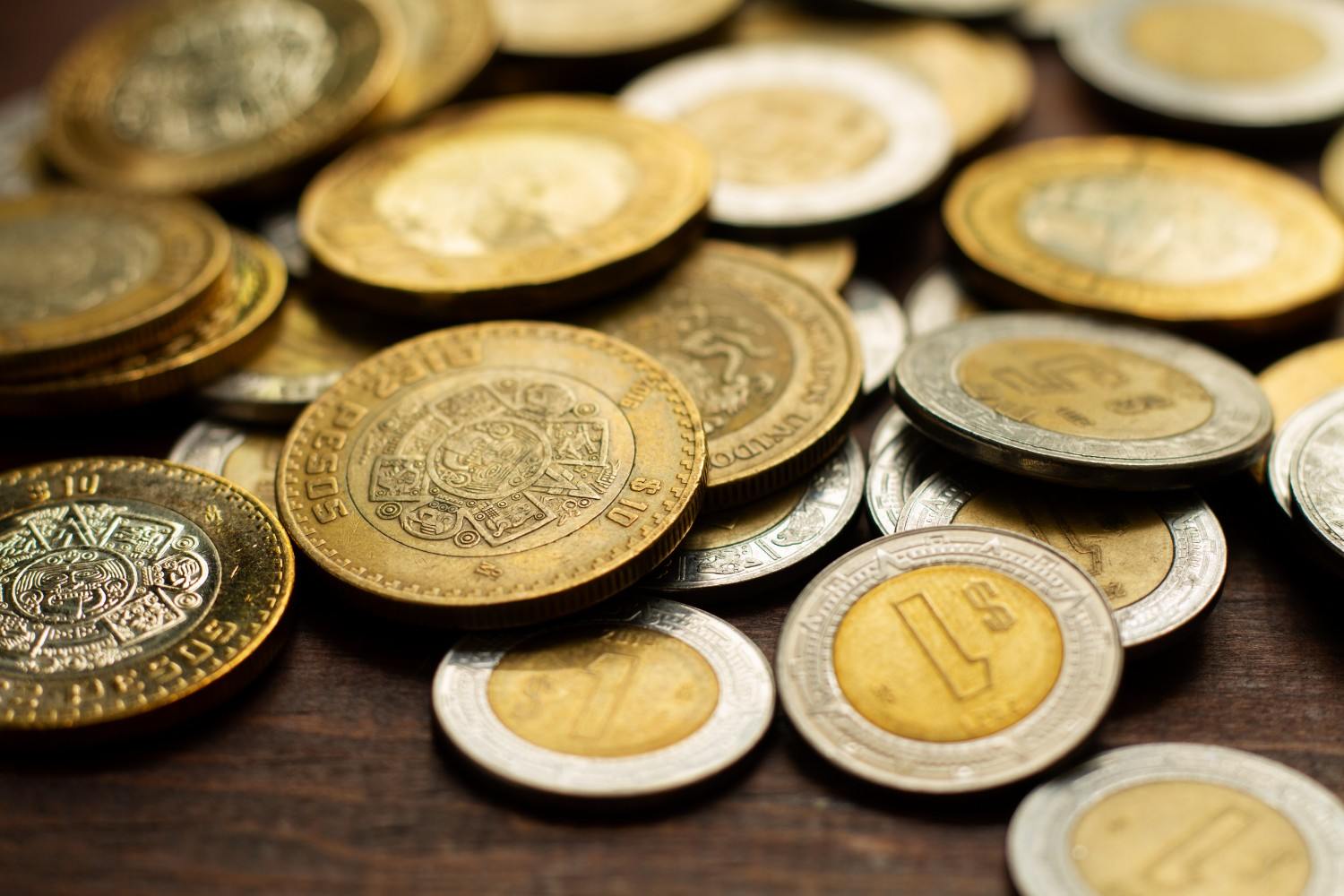 A collection of world coins organized in a display tray